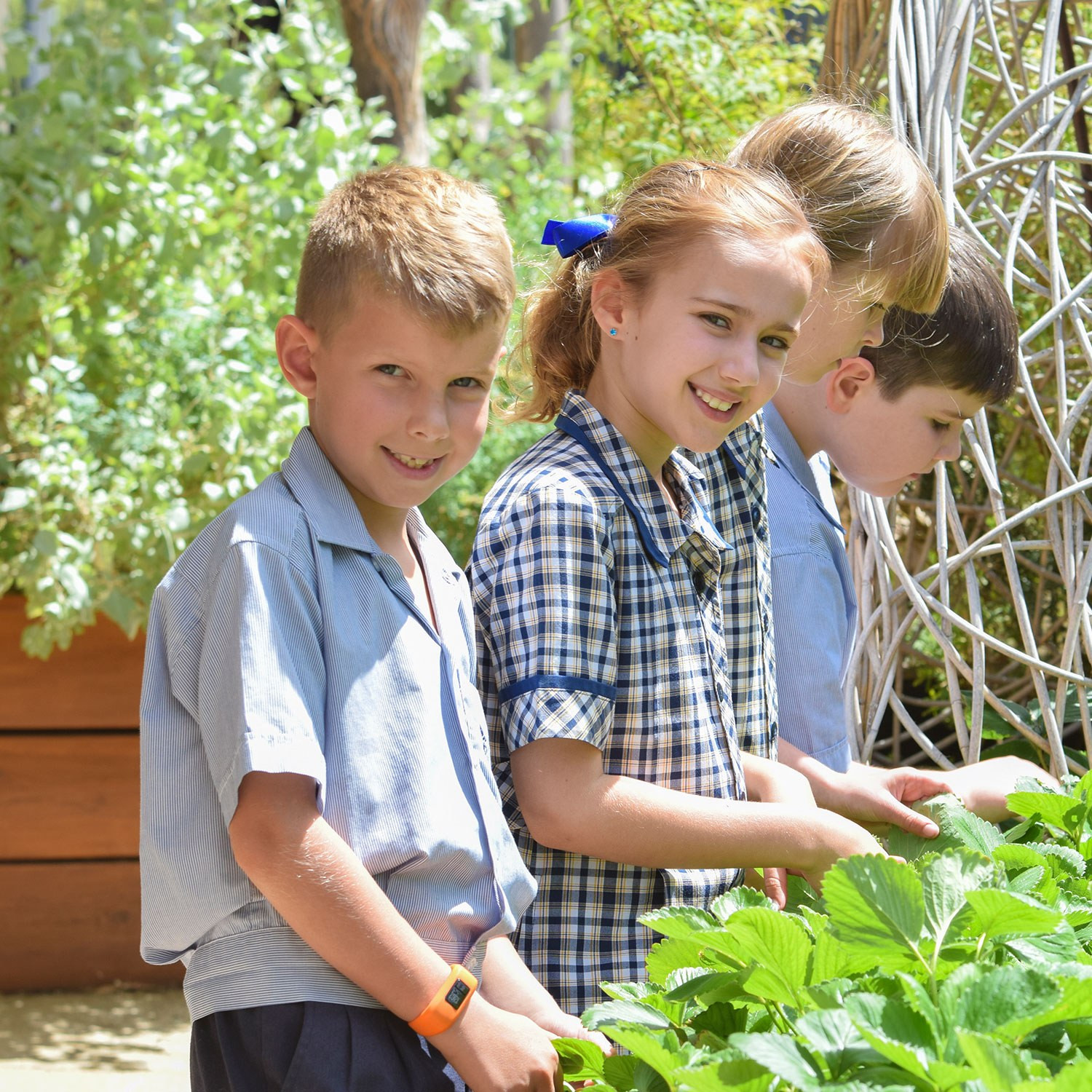 Concordia College Coeducational Private School, Adelaide