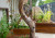 Planter boxes, seating nooks and artistic elements in one of our nature play spaces
