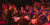 The Concordia String Ensemble performing at Concordia in Concert