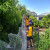 Students work to net fruit trees at a local community garden