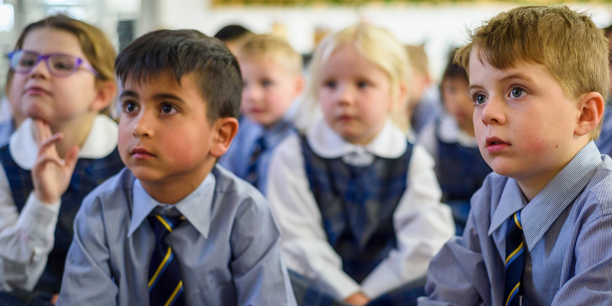 Primary School banner 02