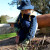 Planting Special interest Ed Venture