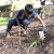 Special interest Ed Venture gardening