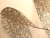 Leaves artwork