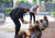 Paul Weinert and Michael Paech distributing pancakes to students on Shrove Tuesday