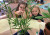 Butterflies in the ELC 02