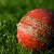 Cricket Sports results thumbnail