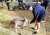 A Year 9 student feeding a kangaroo at Warrawong Wildlife Sanctuary