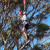 A student using a high rope swing on Year 8 Camp