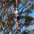 Year 8 Camp thumbnail