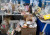 No Show Ball Auction items 3423