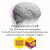 Congratulations Brain Bee