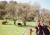 Mt Lofty walk 2