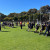 Y7 Tug of War 0