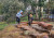 Reception Inquiry 104102