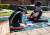 Teddy Bear Picnic 7464
