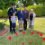 Remembrance Day 6816