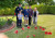 Remembrance Day 6816