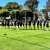 Tunnell Ball 2