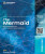Poster The Mermaid