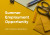 Summer Employment Opportunity CE