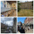 Cambridge summer school
