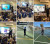 Road Safety and Wheels Day SJC ELC