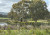 Y9 City Project 7833