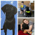 Milly collage 1