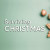 Surviving Christmas