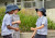 Rock Paper Scissors 3670