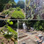 Winchester Street Garden