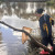 Ed Venture Wetlands 892